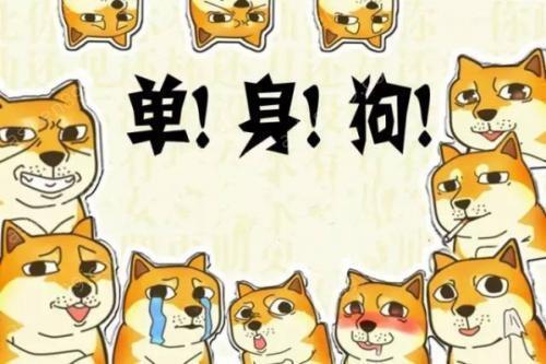 为什么单身要叫单身狗,而不是单身猫,单身猪?