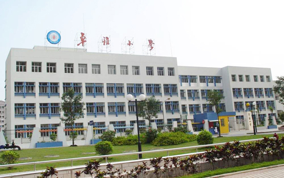 卓雅小学