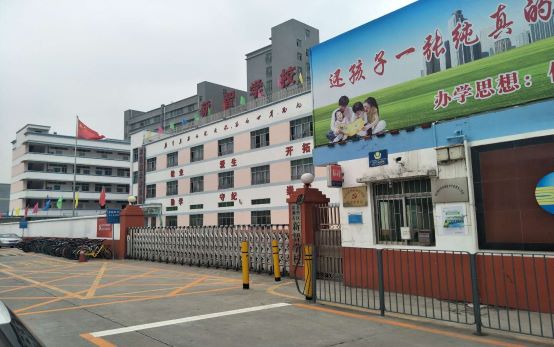 新智学校